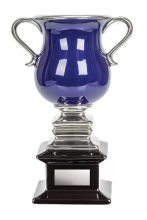 Contempo Series Ceramic Blue Cup