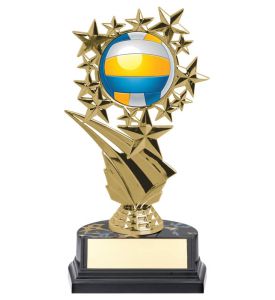 Sport Trophy Dome Volleyball