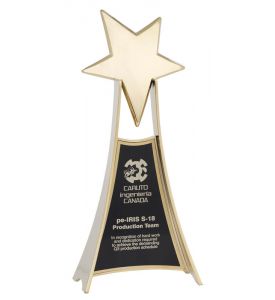 Star Awards Polished Gold