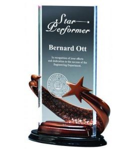 Bronze Brillance Award
