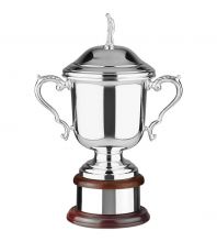Deluxe Silver Plated Cup